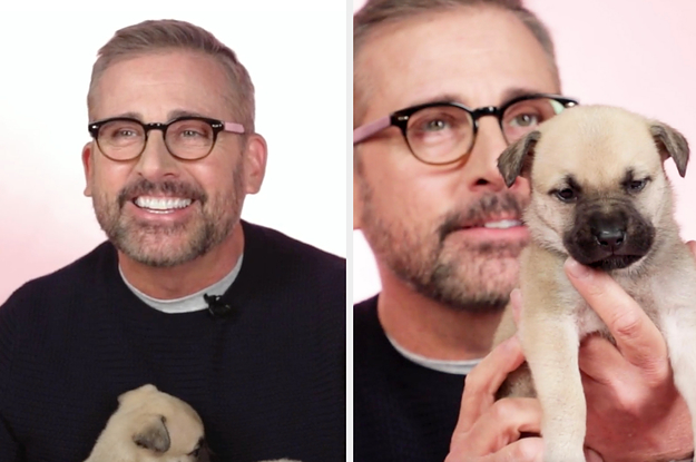 Steve Carell Talked About His "The Office" Days And Why He Thinks Fans Know More About The Show Than Him