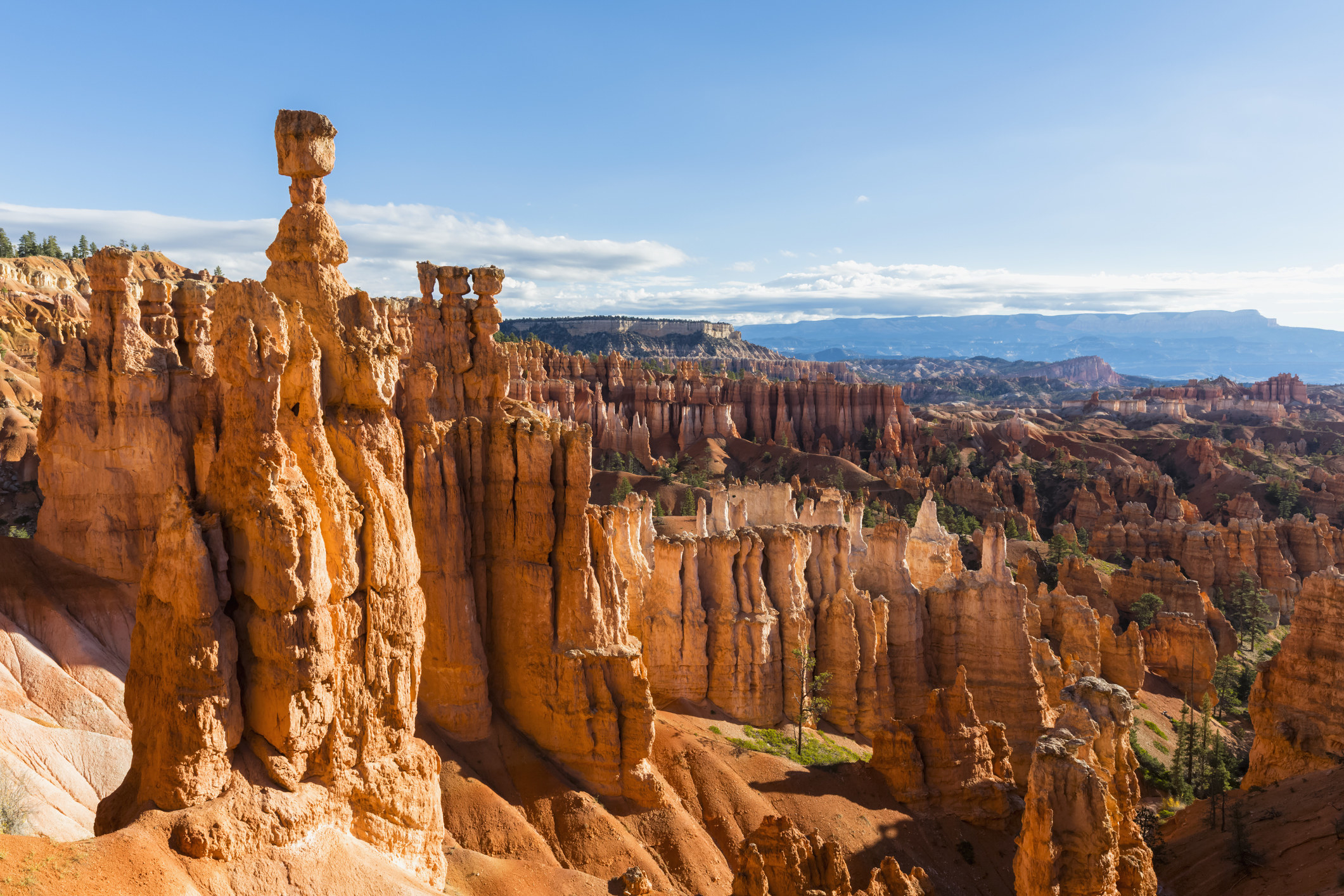 Hoodoos in amphitheater at Bryce Canyon National Park.