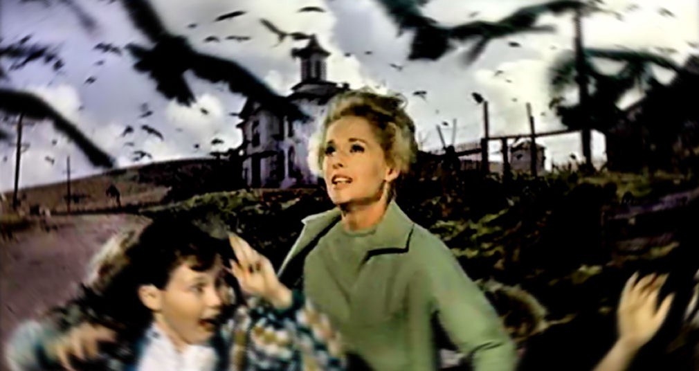 Tippi Hedren as Melanie Griffith being chased by birds in &quot;The Birds&quot;