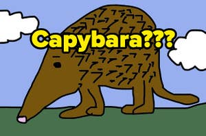 A digitally drawn brown mammal with the word capybara written on top with a question mark