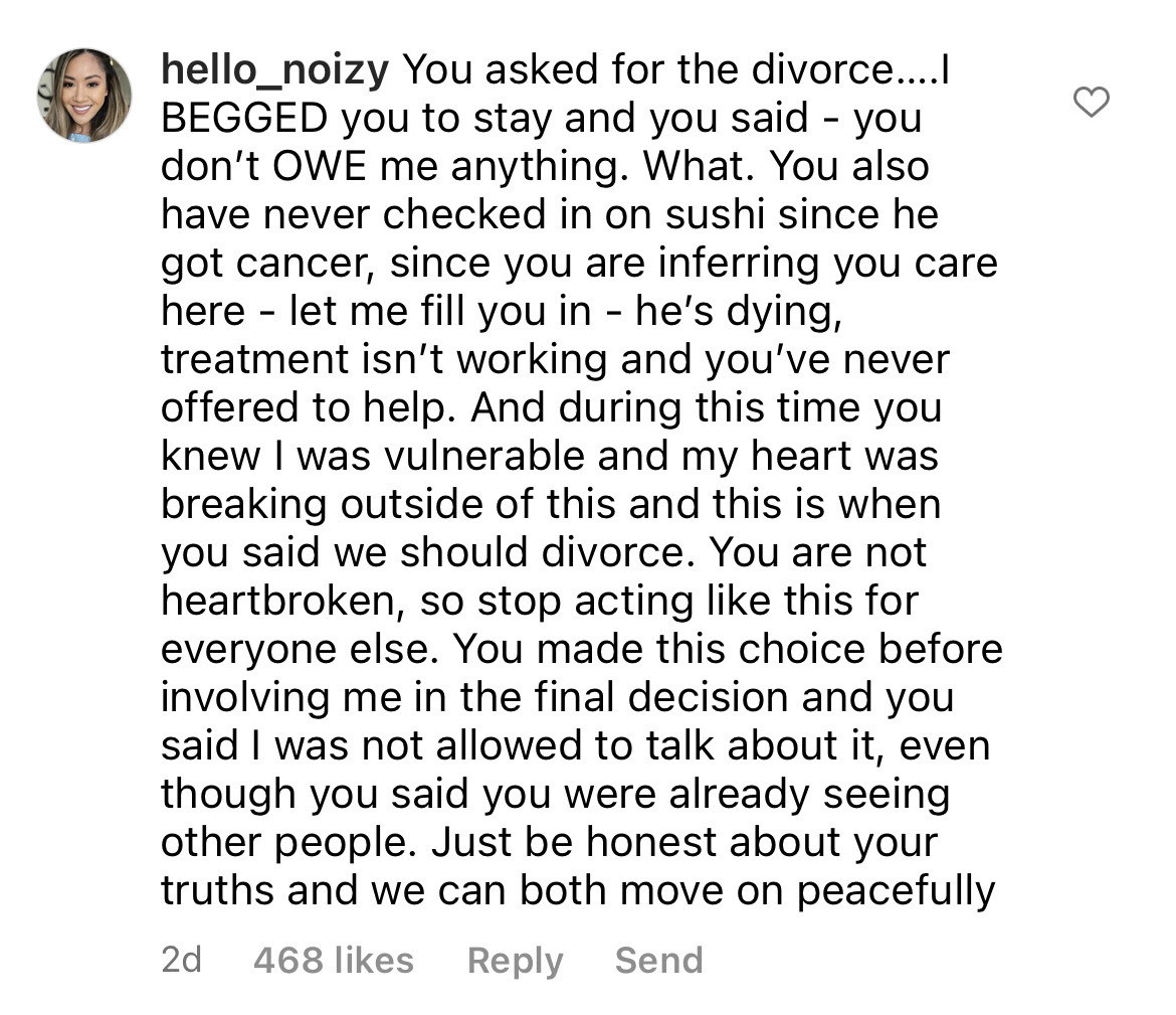 A long comment in which Noi says the divorce was Steve&#x27;s decision and he hasn&#x27;t checked on her while her pet has cancer