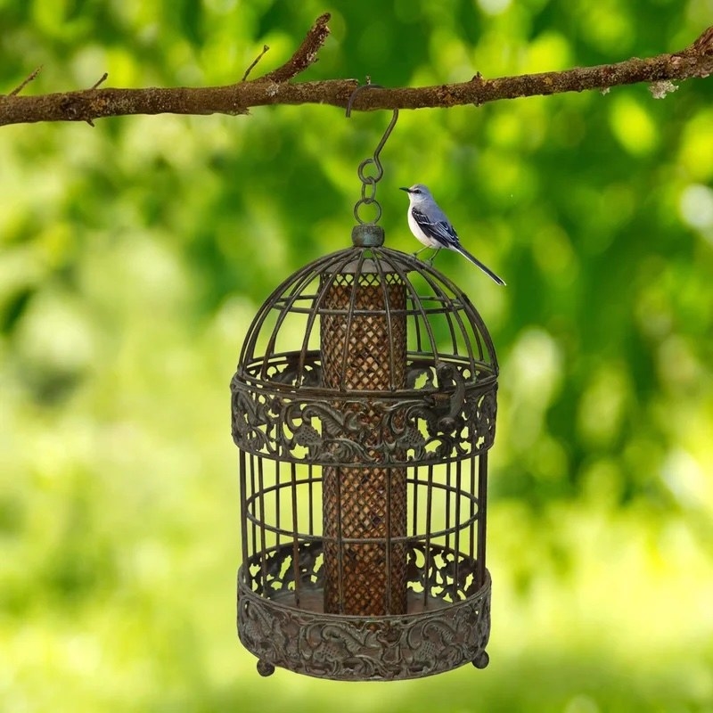 A brown detailed birdcage feeder with a blue bird on top