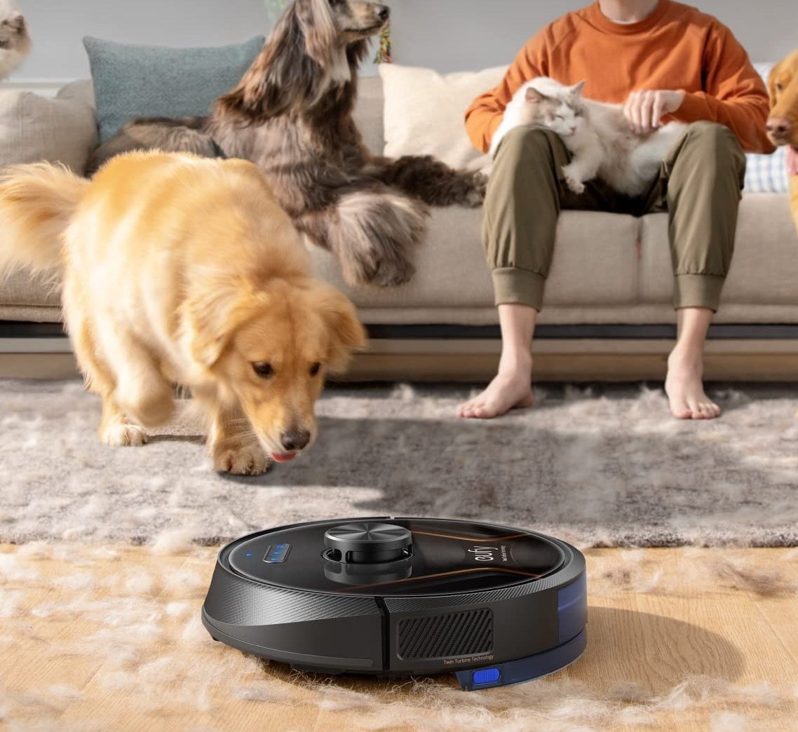 The vacuum cleaning up pet hair
