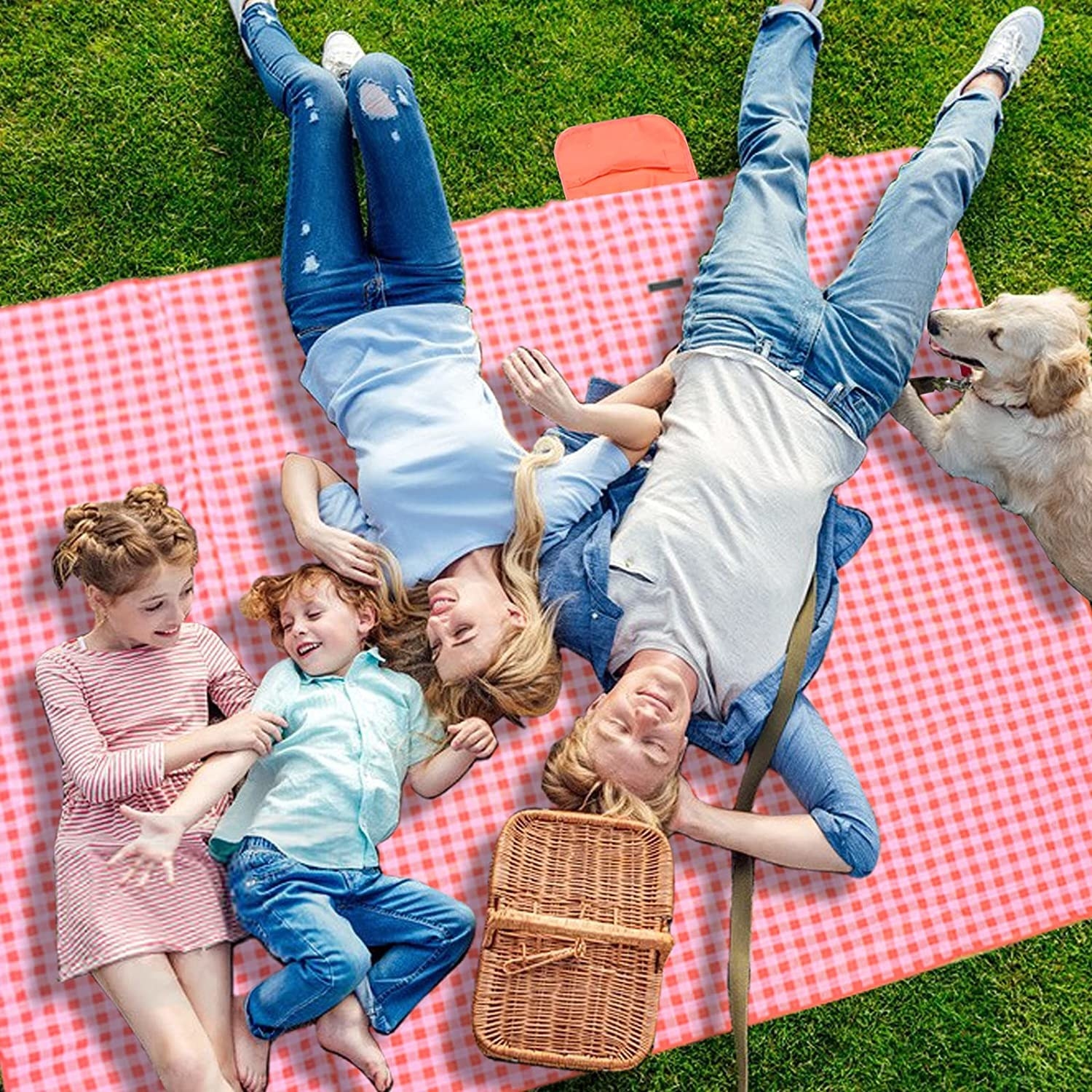 people lying on the picnic blanket