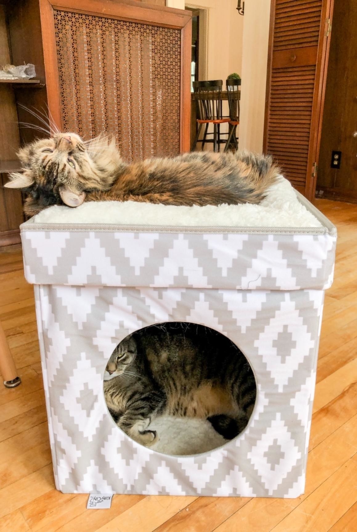 Reviewer photo of the cube bed with one cat resting on top and one cat resting inside