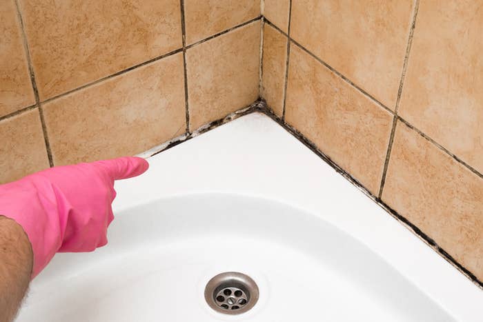 finger pointing to mold in a bathtub