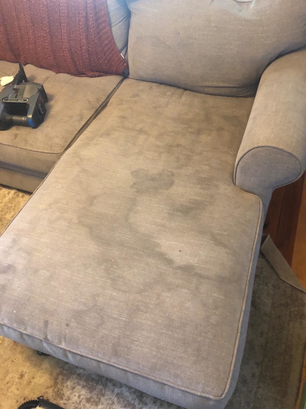 A reviewer's stained sofa