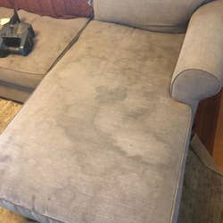 A reviewer's stained sofa