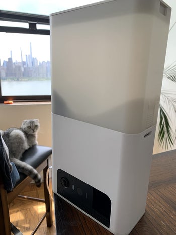 a review photo of their pet cube bites 2 with their cat in the background