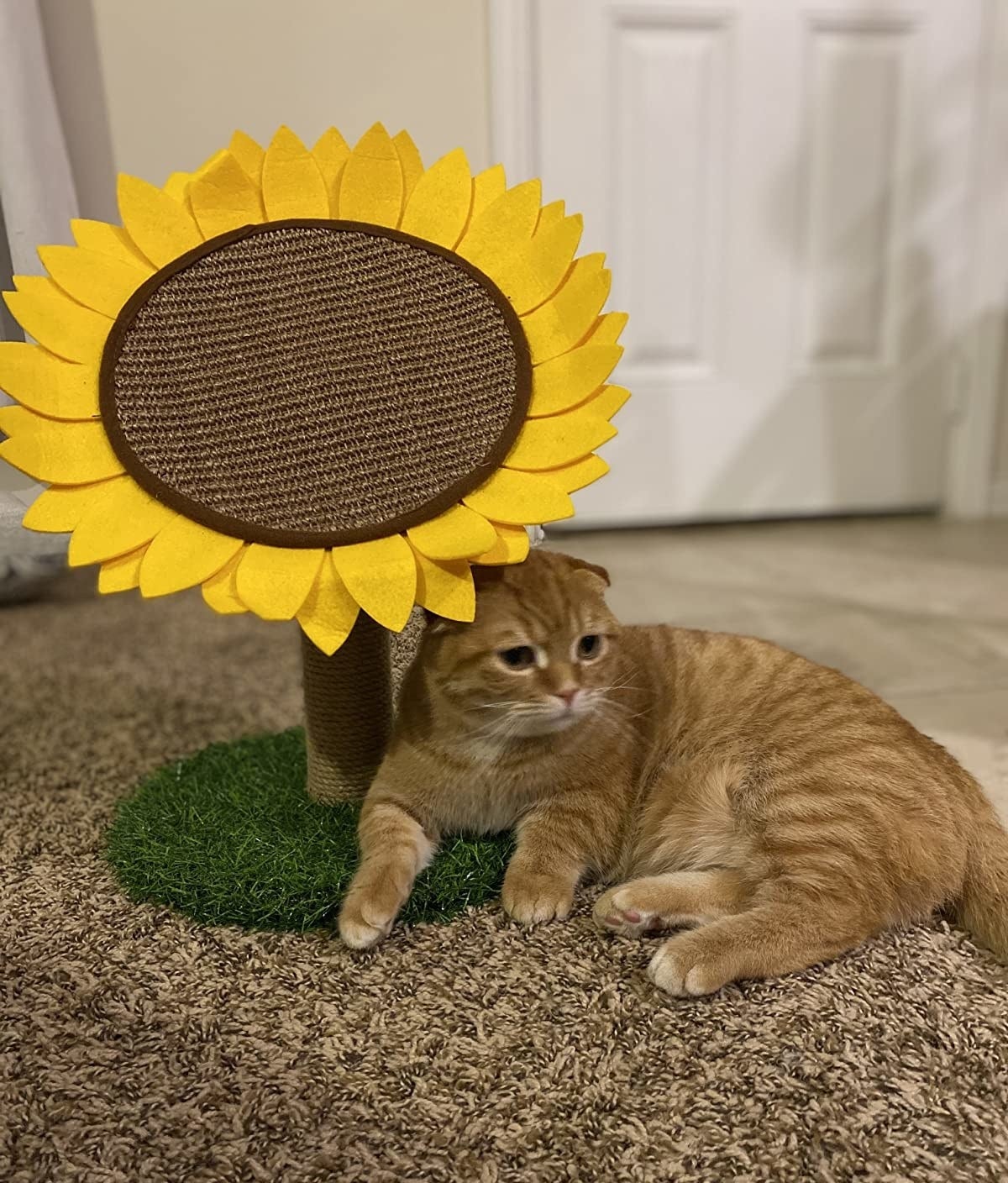 Reviewer image of orange cat lying underneath a sunflower shaped cat scratching post