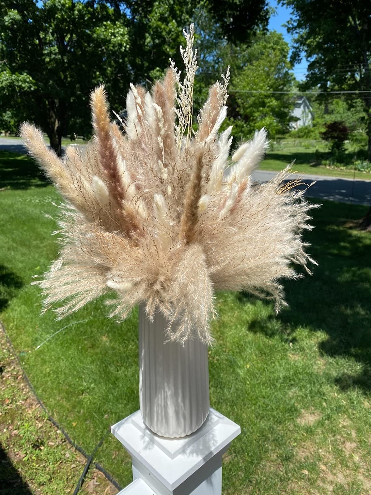 Reviewer image of pampas grass bunch in a vase outside