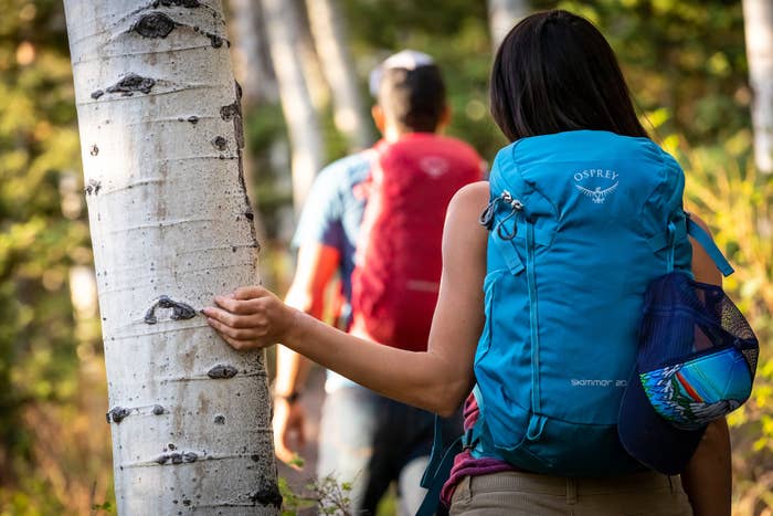 Two hikers with Osprey packs walking by a birch tree
