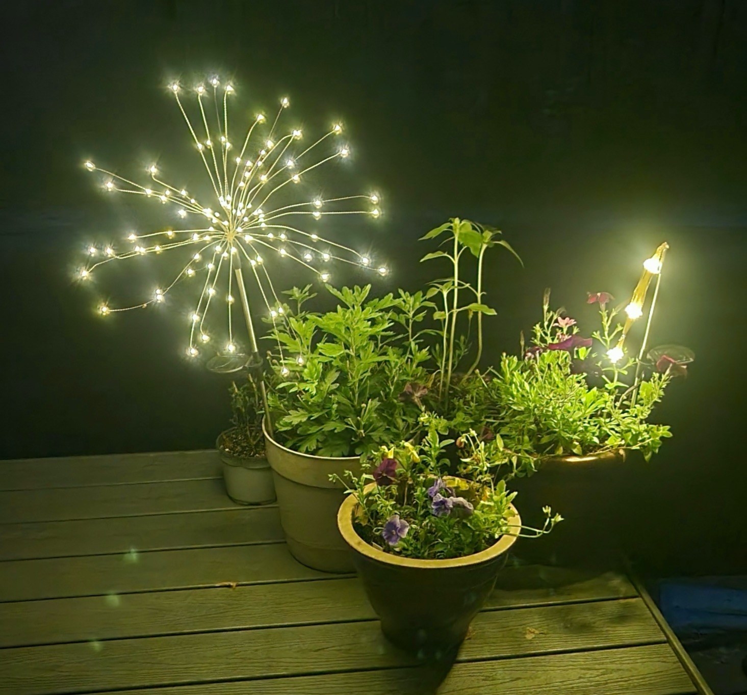 Reviewer image of outdoor lights on a patio next to potted plants