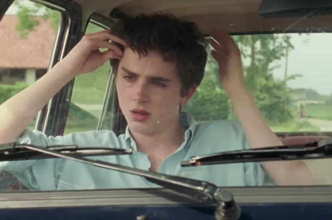 Timothée Chalamet in a car looking dejected