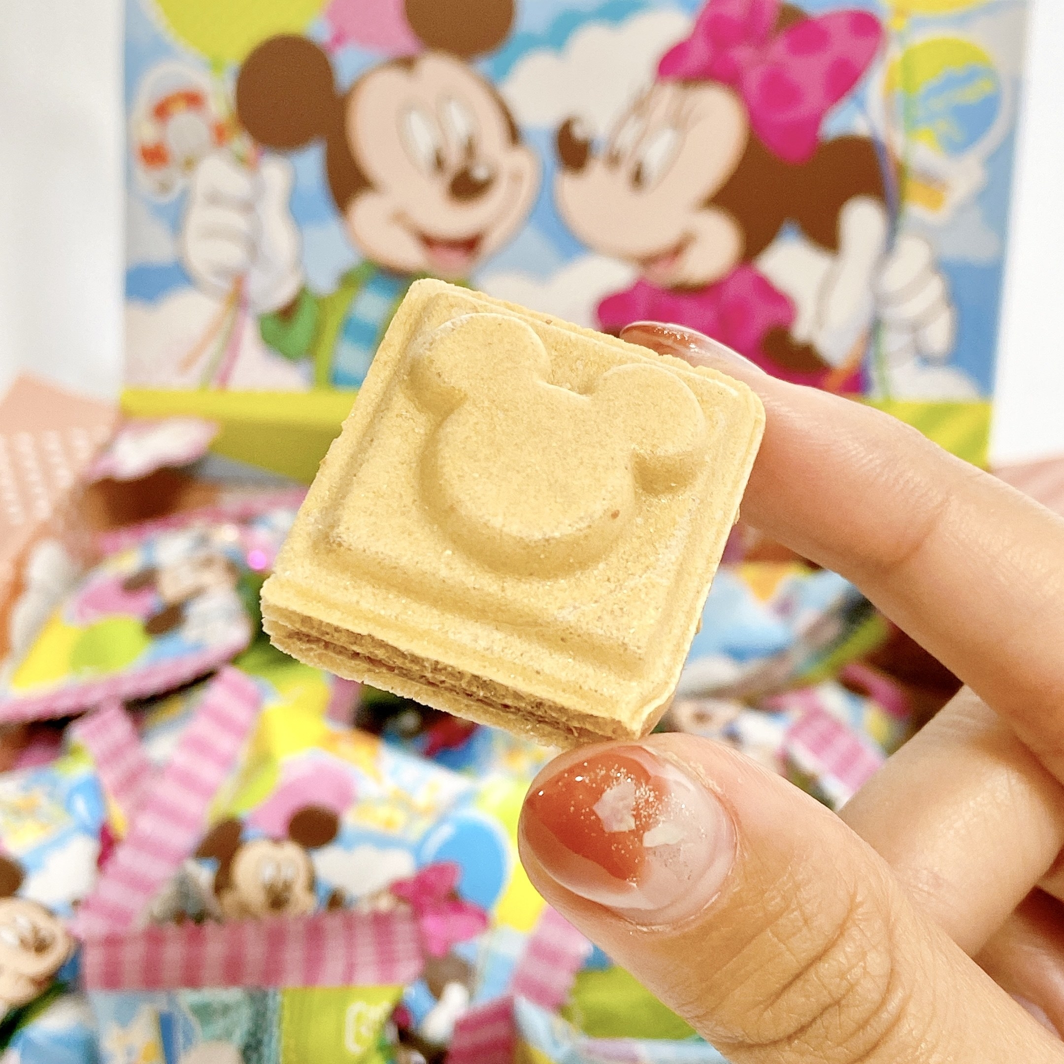 ディズニーお土産は絶対これじゃん！バラマキ用おかしの正解を