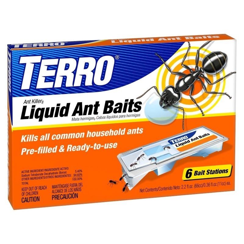The ant bait traps