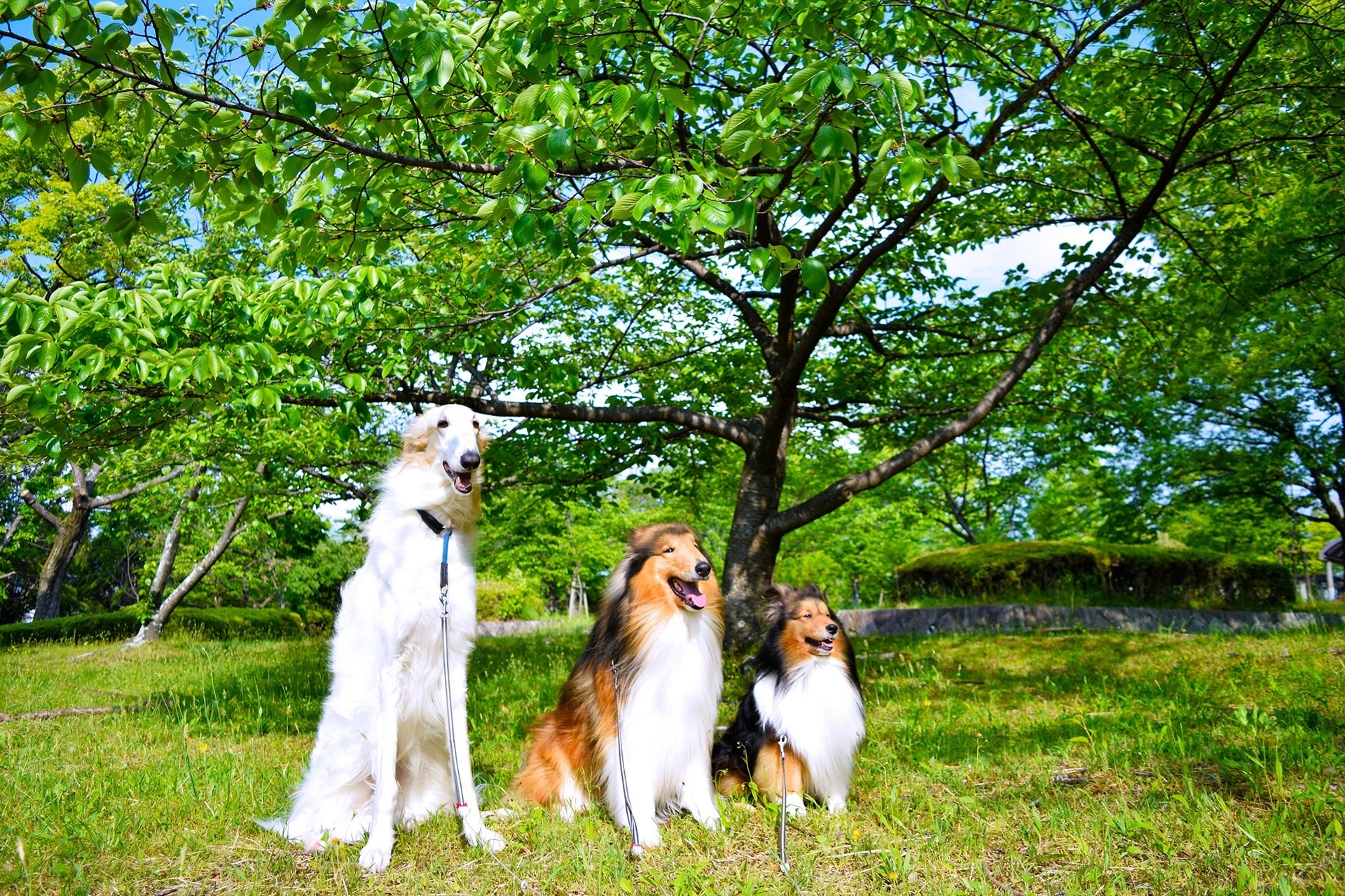 Img Buzzfeed Com Buzzfeed Static Static 22 07 14 6 Asset 22fc3039ca66 Sub Buzz 6002 15 Jpg