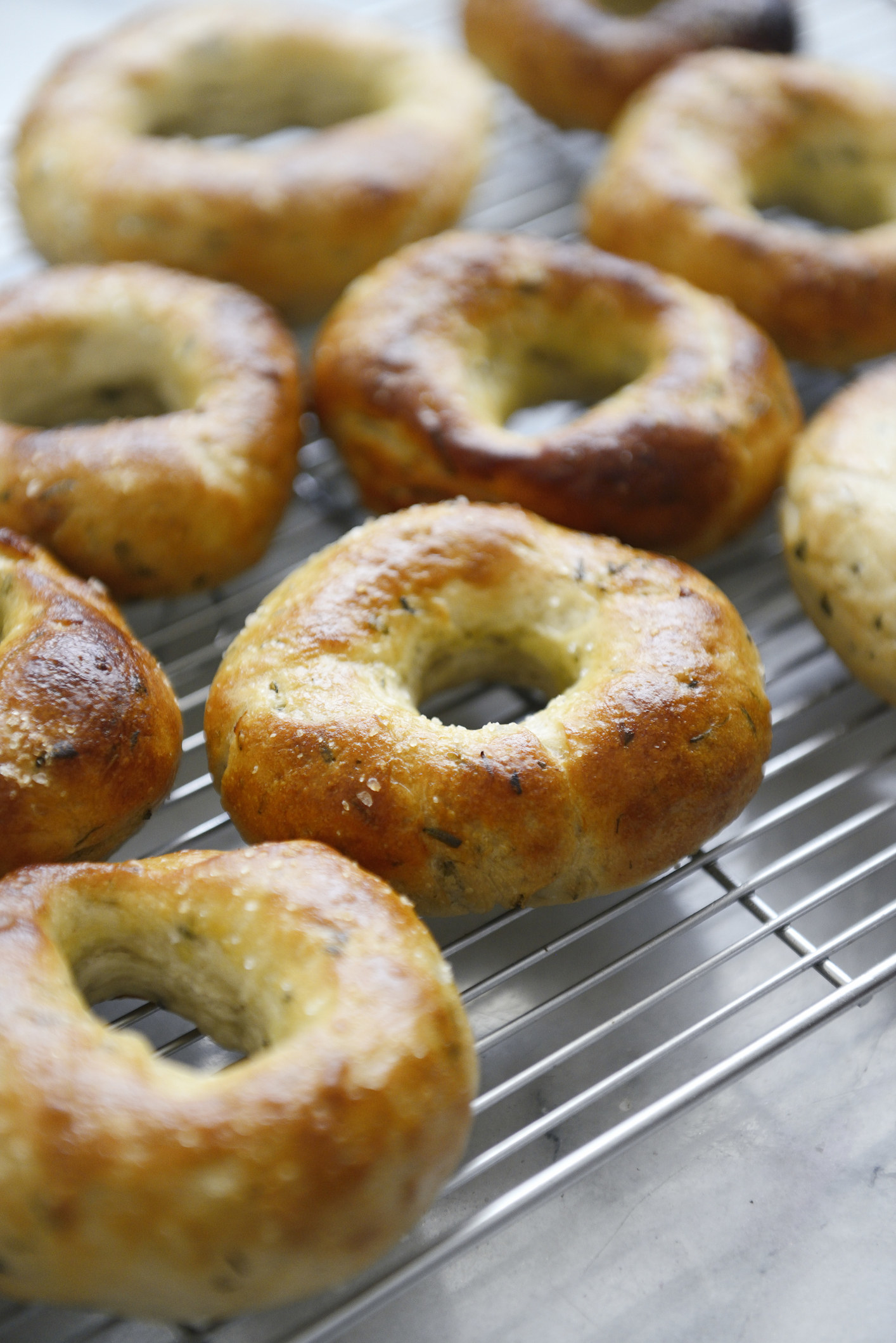 Fresh homemade bagels on a cooling rack.