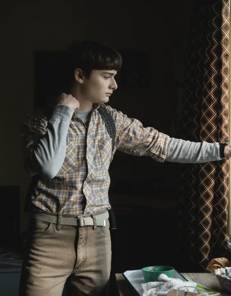 Will is gay and he does love Mike': Noah Schnapp spills the beans