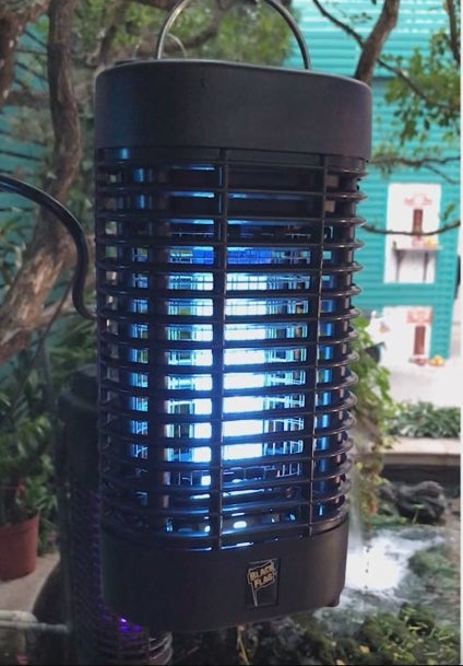 Bug zapper hanging on a tree branch