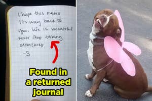 A note in a journal, and a dog in fairy wings