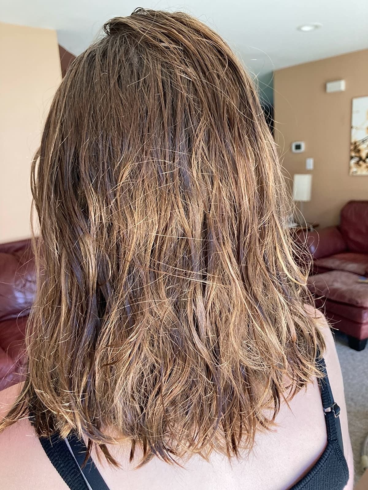 reviewer's earlier  photograph  of wet, tangled hair