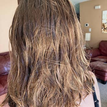 reviewer's earlier photograph of wet, tangled hair