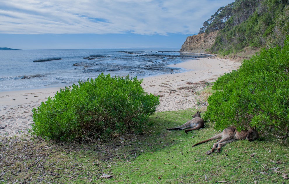 The Most Australian Photos In Existence