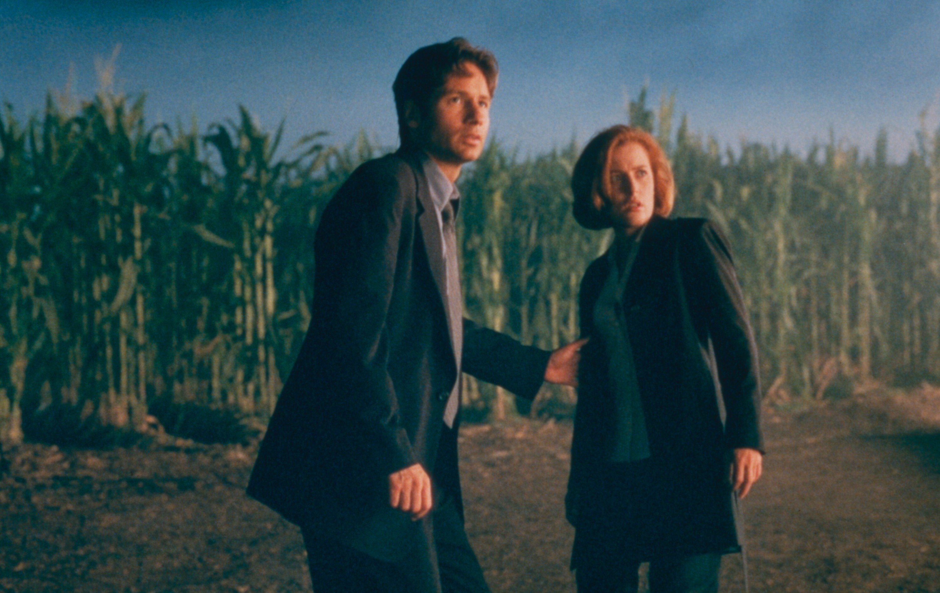 Mulder and Scully of &quot;The X-Files&quot; stand in a wooded area