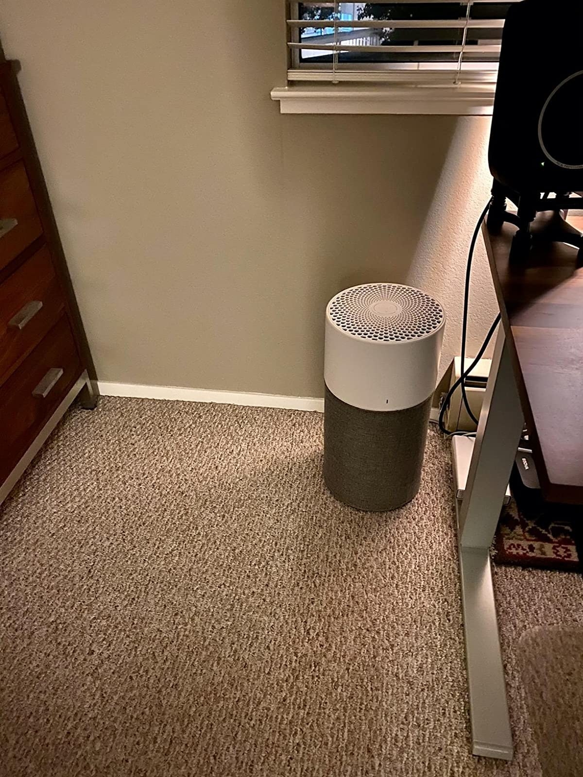 Reviewer&#x27;s photo of the medium sized air filter set up on floor next to desk