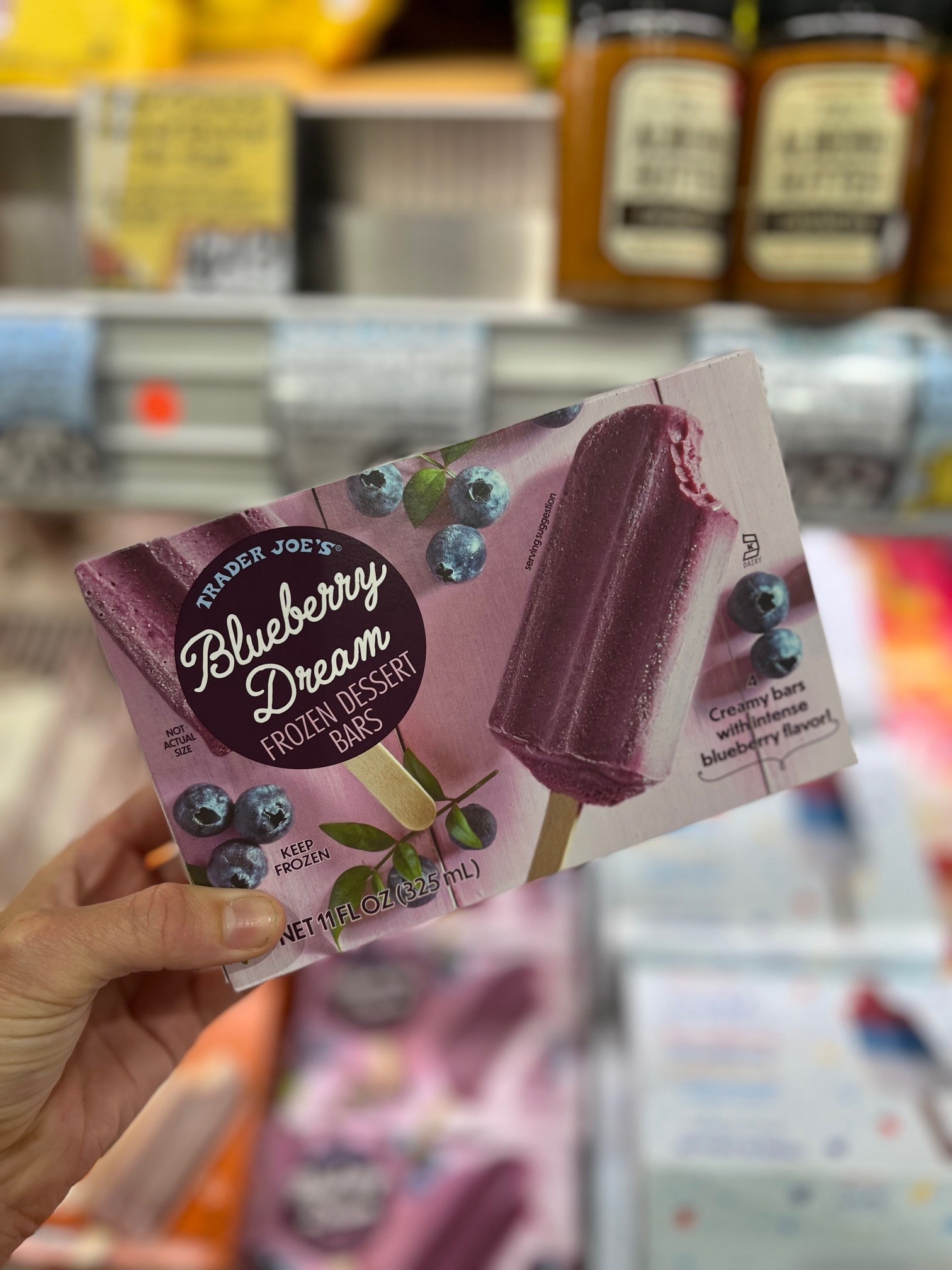 Blueberry Dream Frozen Dessert Bars