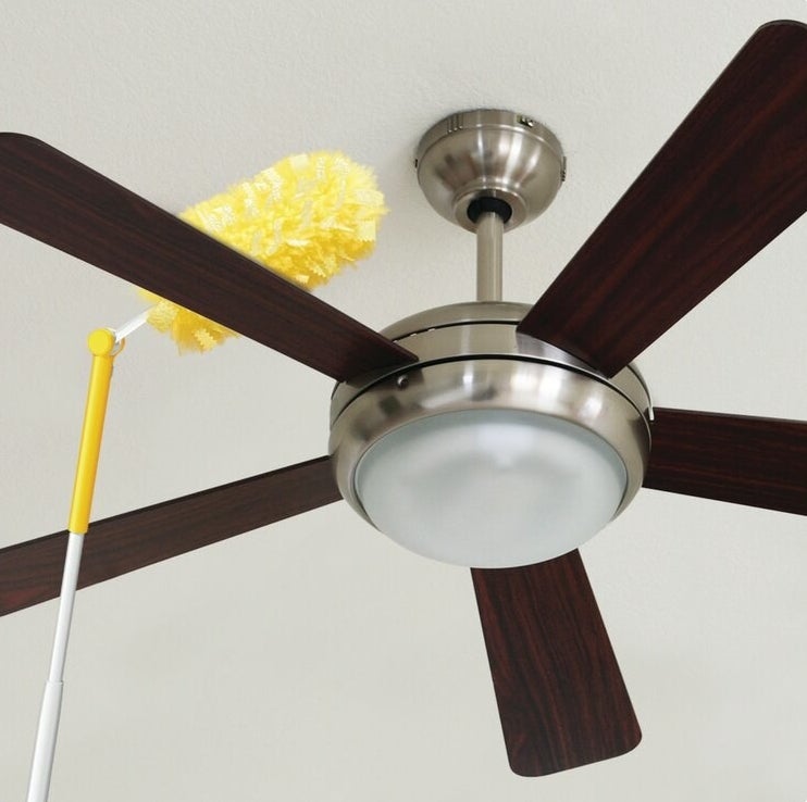 the duster dusting a ceiling fan