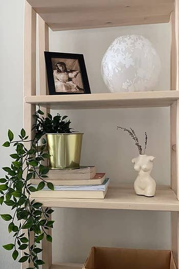 reviewer shows the vase on a bookshelf