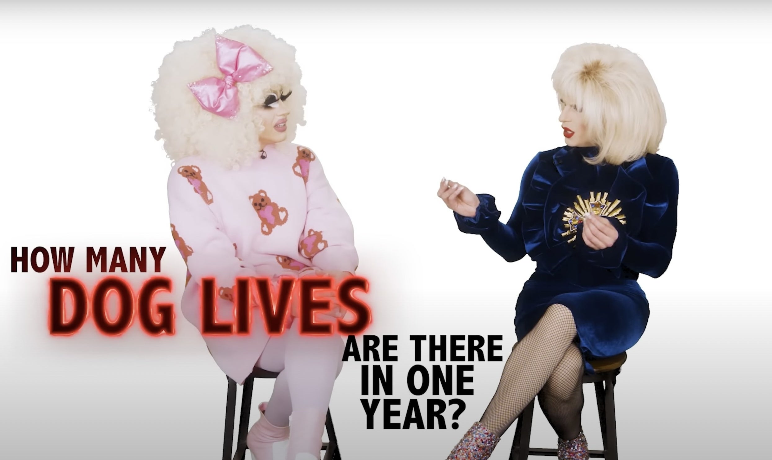 Katya says, How many dog lives are there in one year