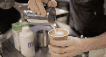 barista making latte art with steamed milk