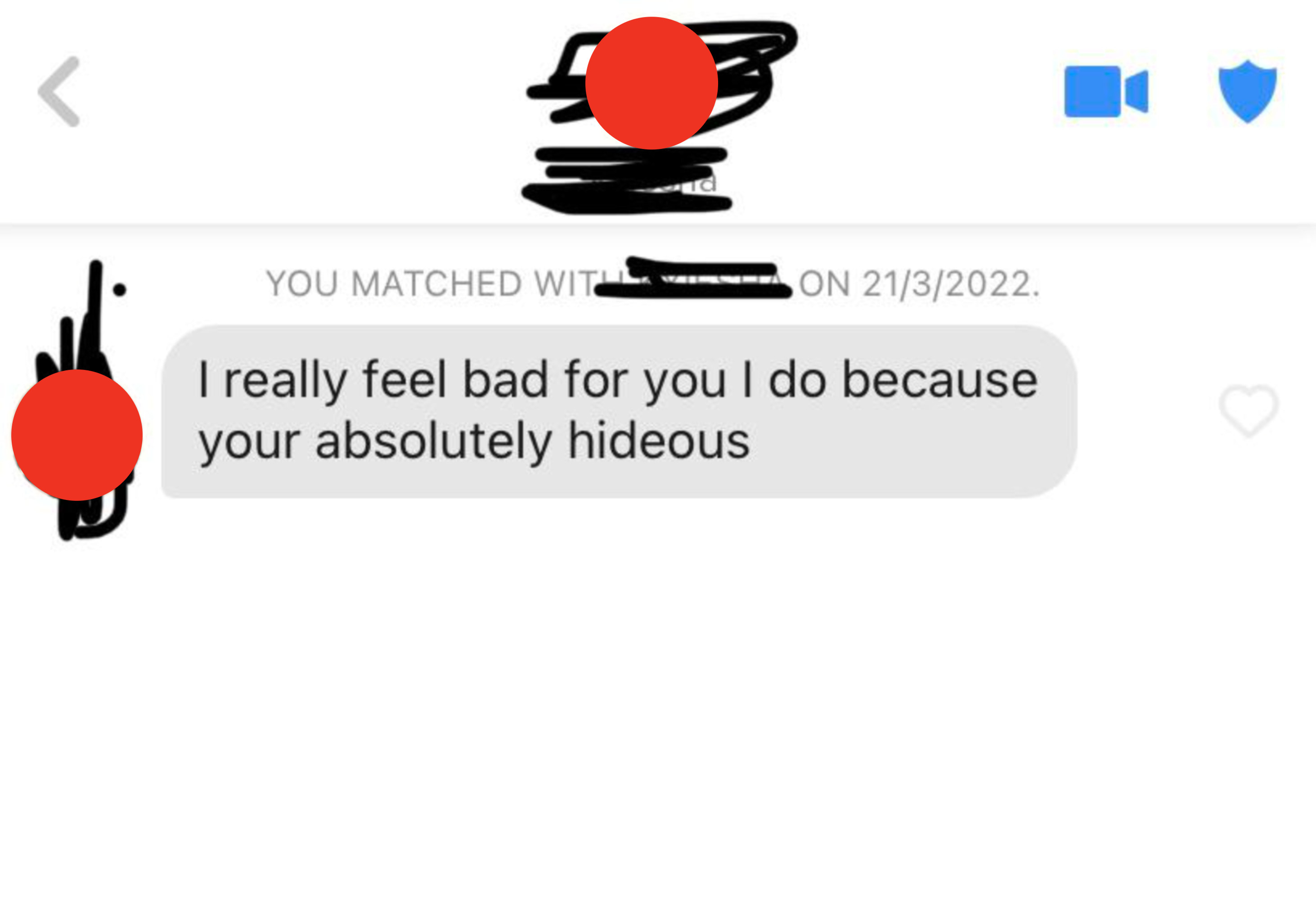 Screen shot of a message saying, &quot;I really feel bad for you I do because your absolutely hideous&quot;