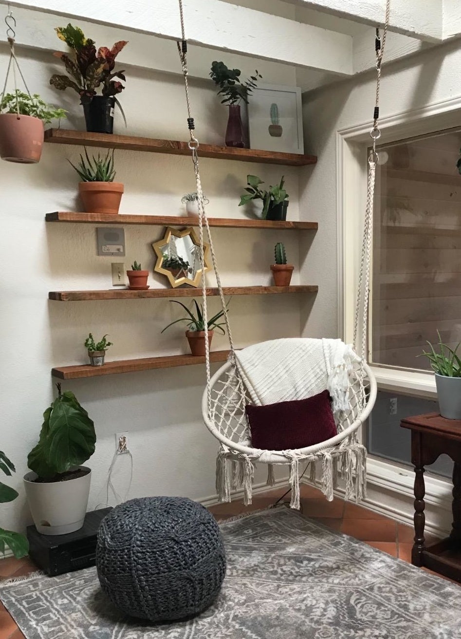 reviewer&#x27;s chair hanging in their living room beside plants