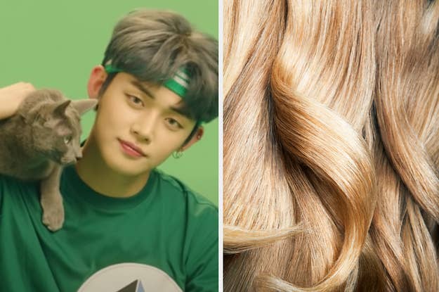 This Image Quiz Will Guess Your Hair Color