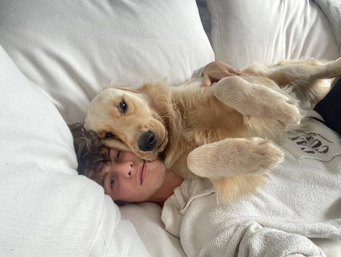 Shawn Mendes Music Singer Puppy Dog Instagram