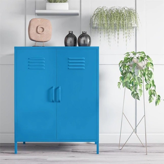 a blue full storage locker in a living room next to house plants