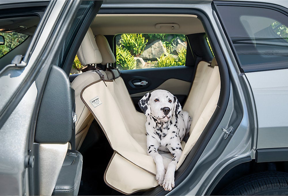 a dalmatian relaxing in the tan hammock in the back of a car