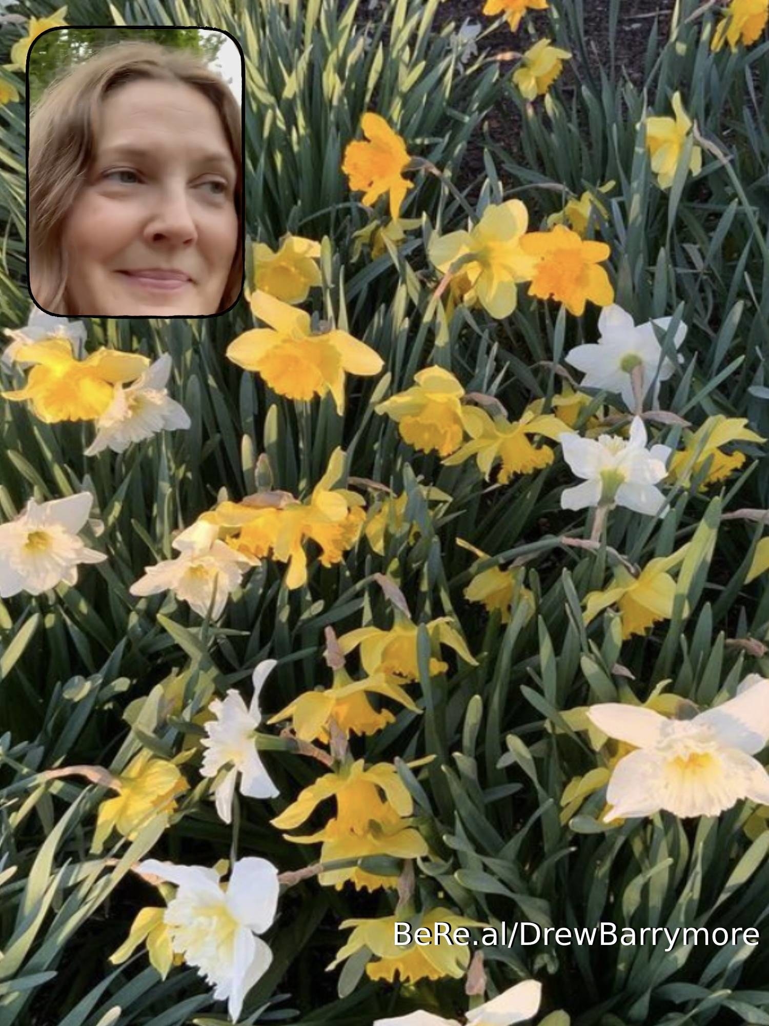 Drew Barrymore smiling at a field of flowers