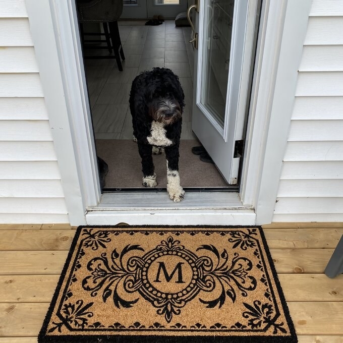 a reviewer photo of the personalized doormat with an M on it and a dog in the doorway