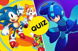 On the left is Sonic The Hedgehog and Tails and on the right is Mega Man