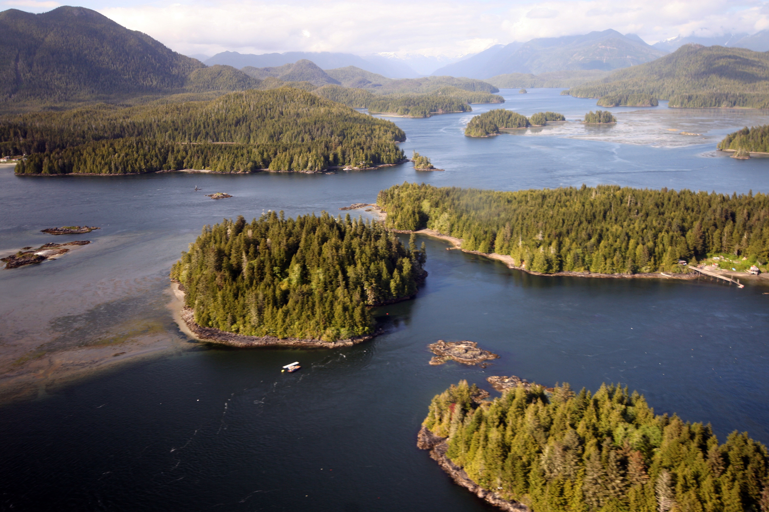 Forested islands in British Columbia