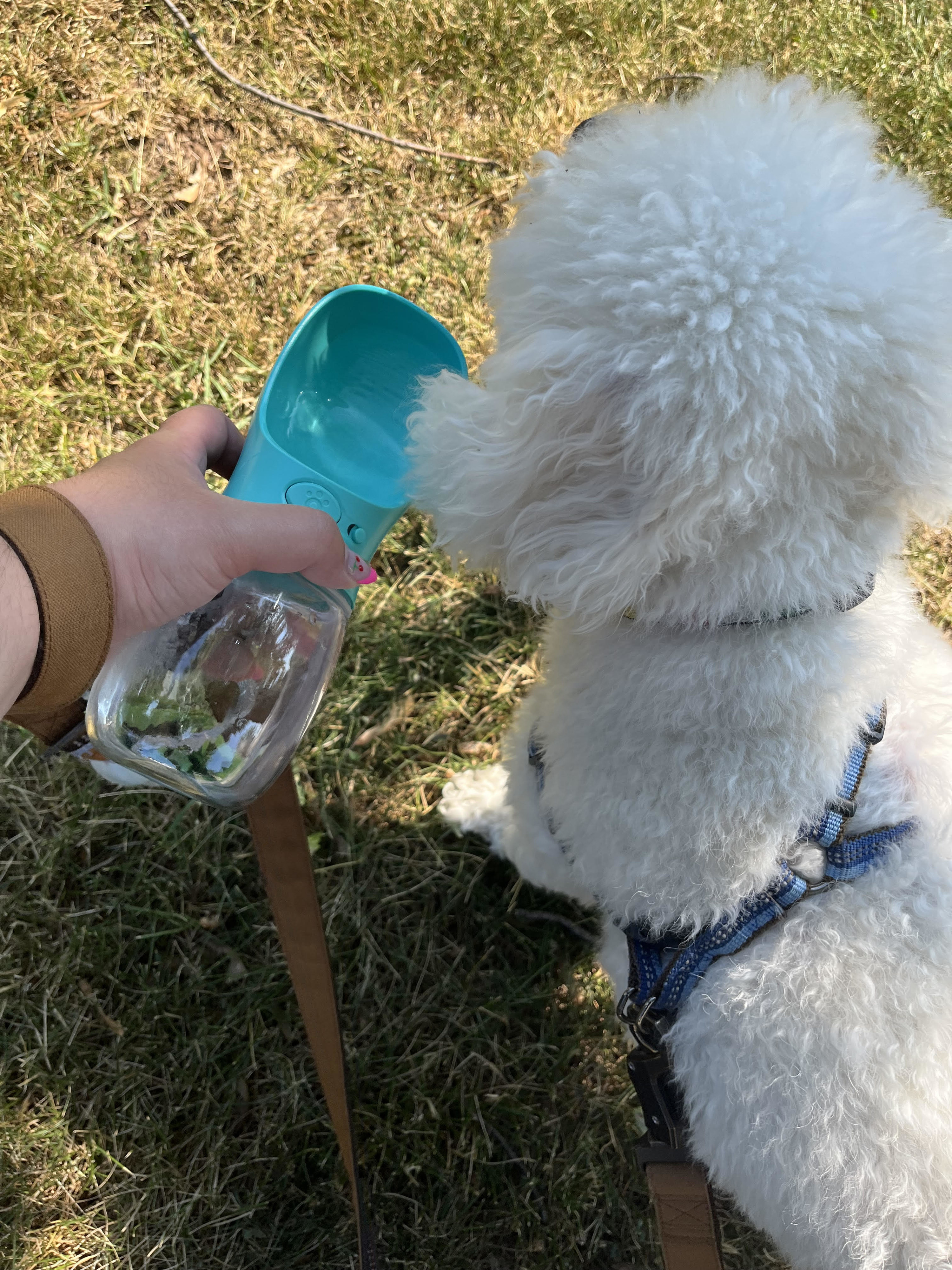 Bianca offering her dog a drink from the bottle