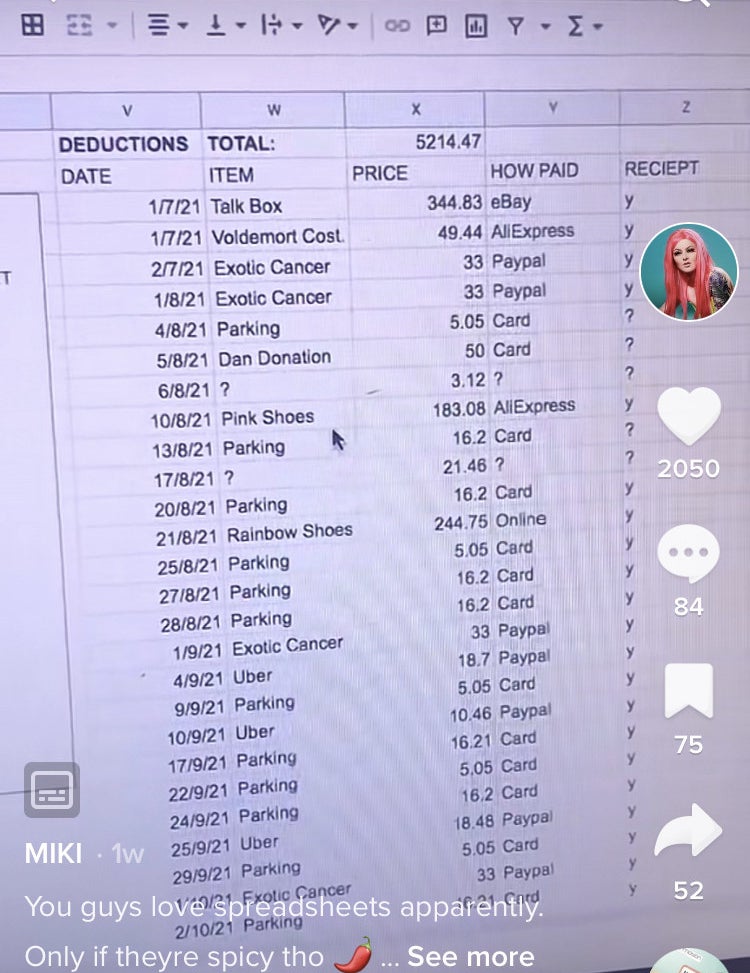 spreadsheet showing her deductions for costumes parking fees et cetera