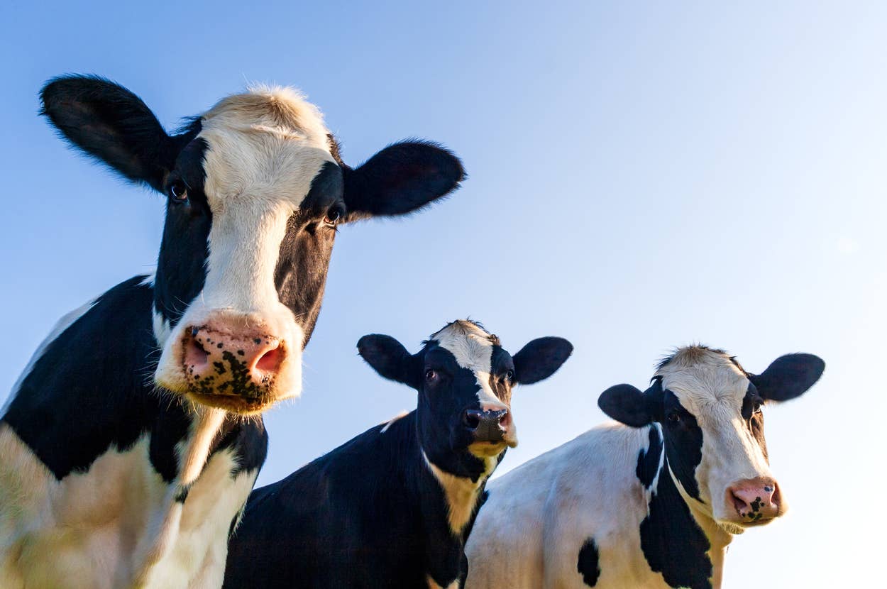 Kelly Rissman (kellyrissman) on BuzzFeed