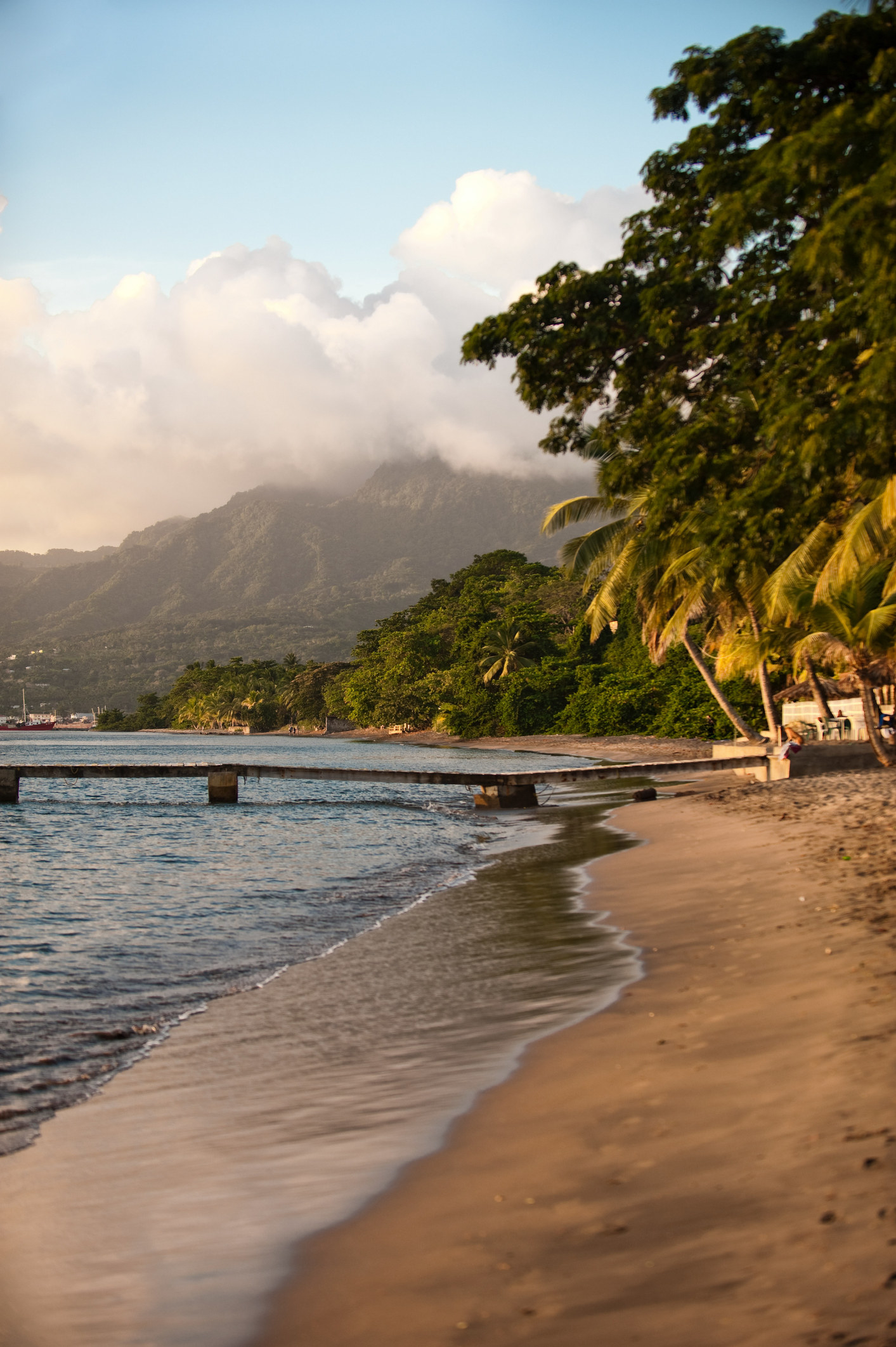 A beach with jungle in Dominica.