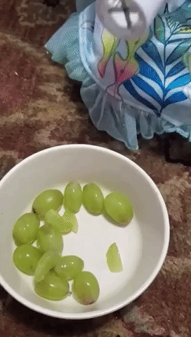 A gif showing the grape cutter in action